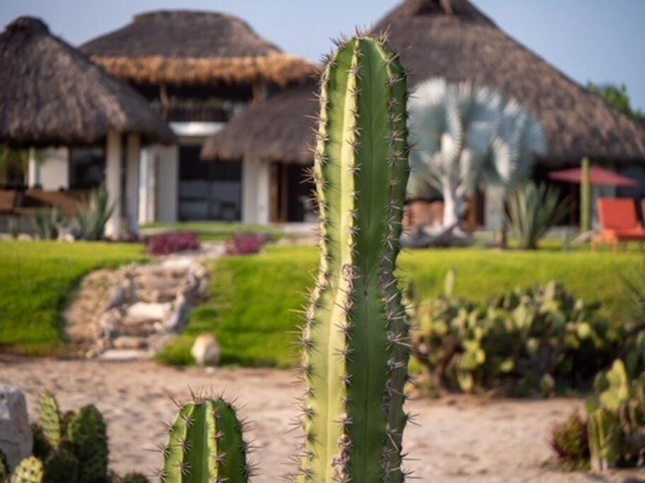 Villa De Las Rocas 埃斯孔迪多港 外观 照片